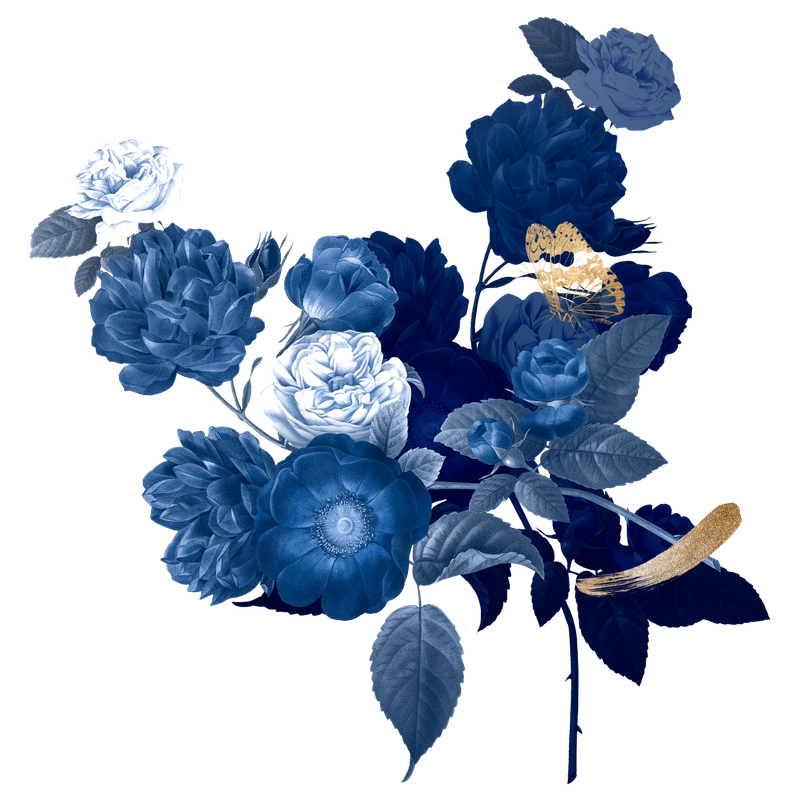 Massagepraktijk Capelle aan den IJssel