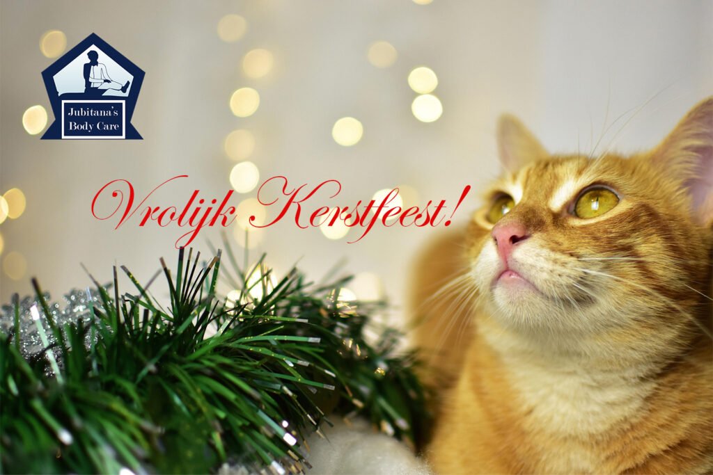 Vrolijkkerstfeest